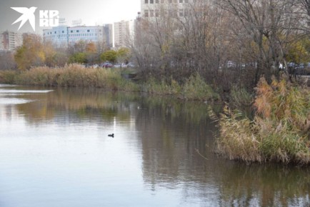 Решили прогуляться по Северному и не могли не сделать атмосферных осенних фото