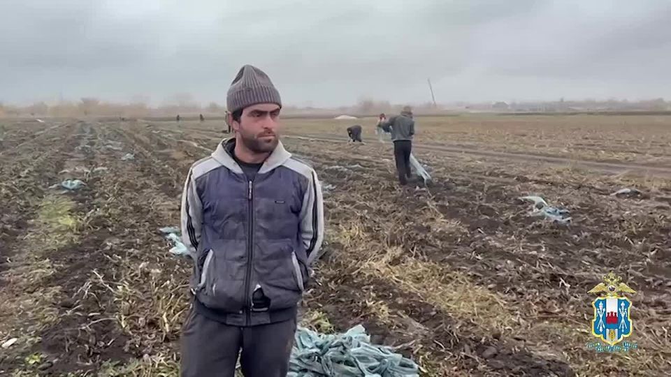 Сотрудники полиции Ростовской области пресекли нарушения миграционного законодательства