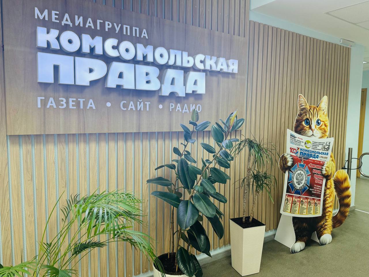 Друзья, у нас радостная новость! В нашей редакции поселился самый настоящий рыжий кот! Этот пушистый комочек солнечного света теперь стал нашим талисманом и самым обаятельным сотрудником Друзья, у нас радостная новость! В нашей редакции поселился самый настоящий рыжий кот! Этот пушистый комочек солнечного света теперь стал нашим талисманом и самым обаятельным сотрудником