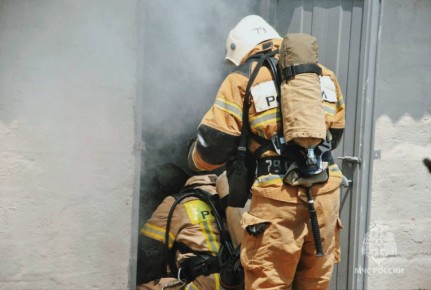 #ЧтоВчераПроизошло?. За сутки 16 ноября 2025 года пожарно-спасательные подразделения Главного управления МЧС России по Ростовской области ликвидировали: