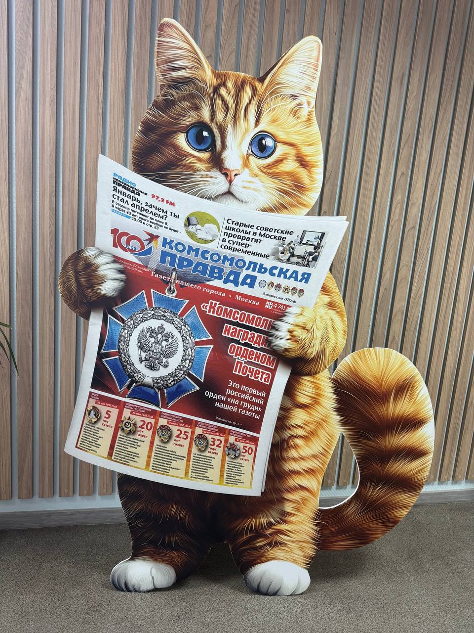 Друзья, у нас радостная новость! В нашей редакции поселился самый настоящий рыжий кот! Этот пушистый комочек солнечного света теперь стал нашим талисманом и самым обаятельным сотрудником