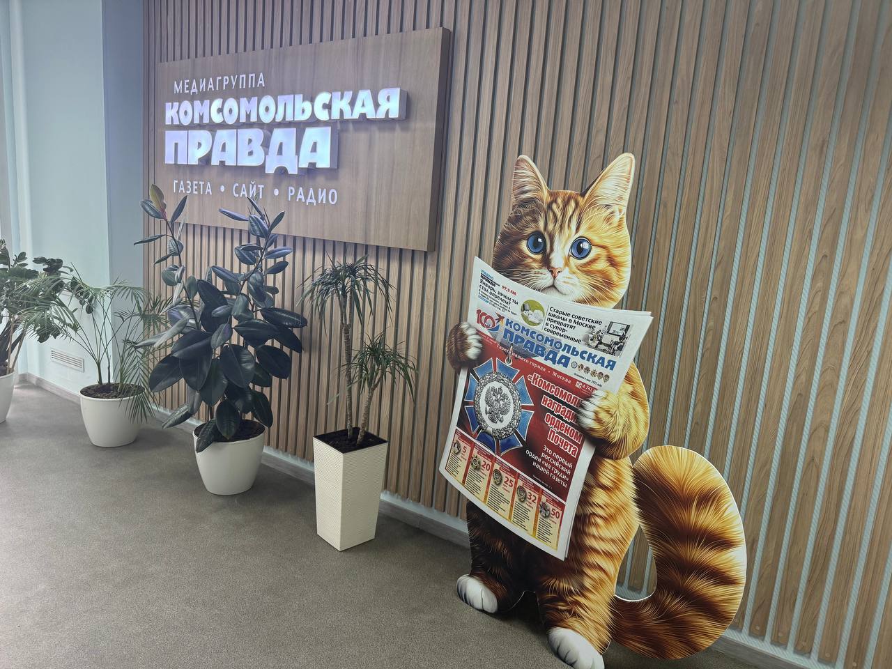 Друзья, у нас радостная новость! В нашей редакции поселился самый настоящий рыжий кот! Этот пушистый комочек солнечного света теперь стал нашим талисманом и самым обаятельным сотрудником Друзья, у нас радостная новость! В нашей редакции поселился самый настоящий рыжий кот! Этот пушистый комочек солнечного света теперь стал нашим талисманом и самым обаятельным сотрудником