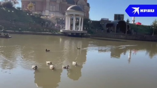 Сегодня, 18 ноября, температура воздуха в Ростове-на-Дону достигла рекорда 78-летней давности