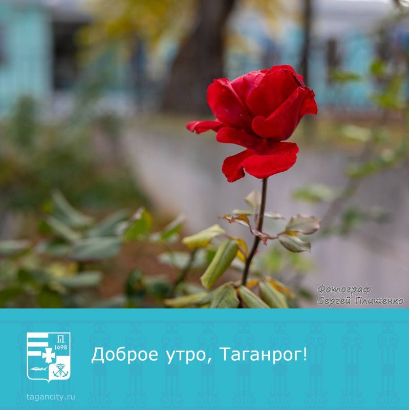 Хорошего дня!. Фото: Сергей Плишенко