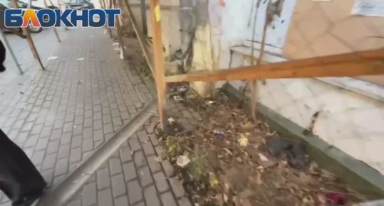 В самый теплый ноябрьский день ростовчане вынуждены любоваться на летающий по воздуху мусор