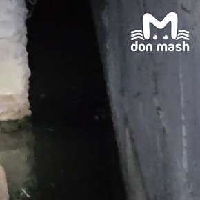 13 раз за пять месяцев чиновники Ростова обещали людям починить канализацию в переулке Гельца