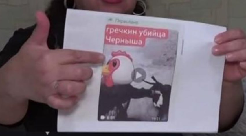 Федеральные СМИ раскрыли детали дела о травле ставропольской семьи радикальной зоозащитницей из Ростовской области