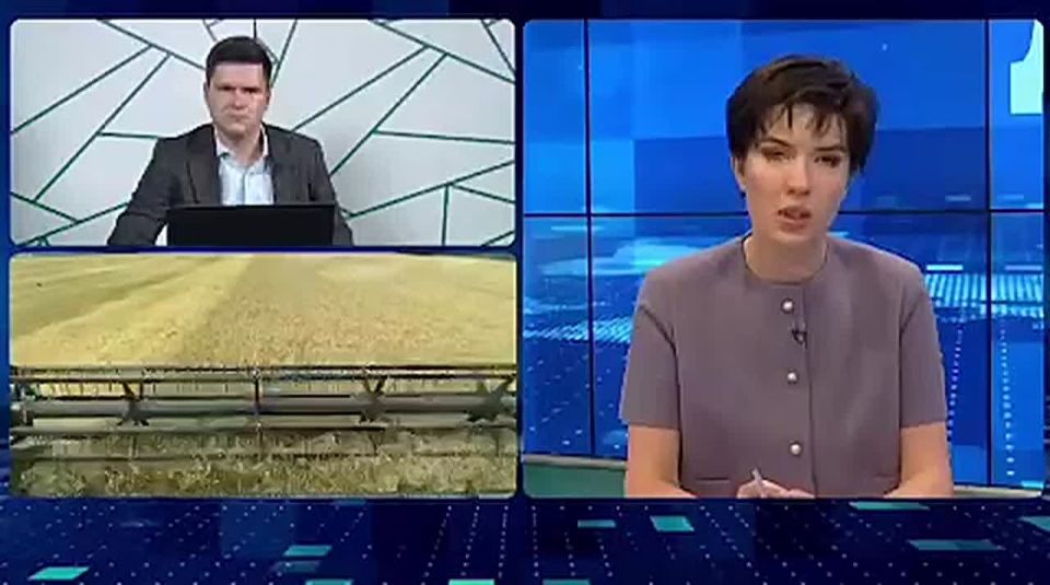 Донское поле возможностей: АПК региона выходит на новый уровень