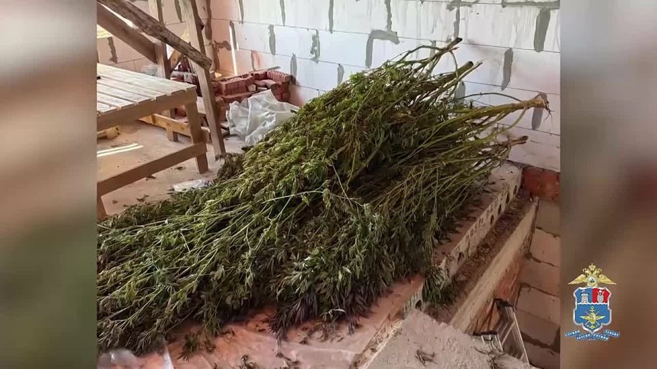 Более 70 килограммов каннабиса изъяли транспортные полицейские у жителя Ростовской области