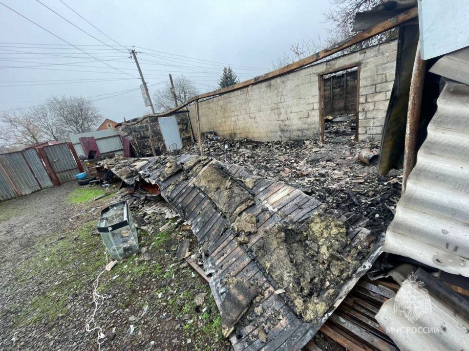 ����� ������ ������� ������ � ��������-���������� ������