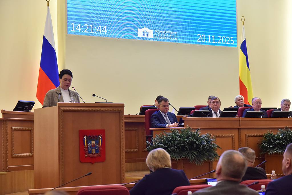 Проект областного бюджета 2026-2028 принят в первом чтении