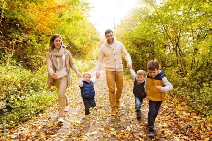 Награды для многодетных родителей: как получить орден и звание, изменив жизнь семьи