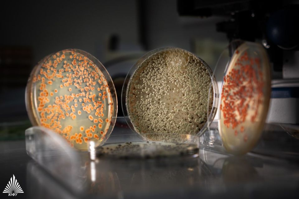 ������ ��� ��������� � ������ ���������� ������� ��� �������������� ���� ����� � �����