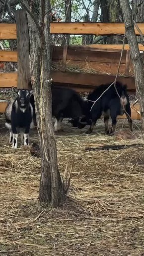 Грустный четверг? Админ тоже зевает в окно и вздыхает