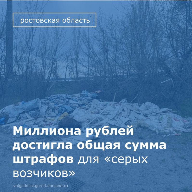 В Ростовской области подведены первые итоги масштабной борьбы с незаконным вывозом мусора