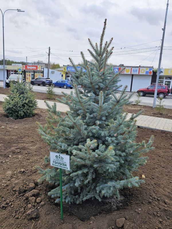 ��� ����� ������� ������� ������� ������� ������� ��� � ����� �������