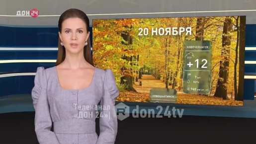 Небольшой дождь и туман: какая погода ждёт жителей Ростовской области сегодня