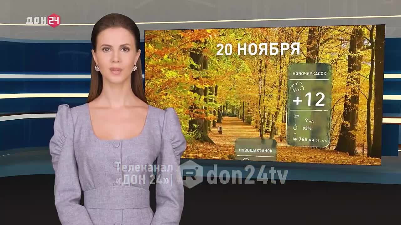 Небольшой дождь и туман: какая погода ждёт жителей Ростовской области сегодня