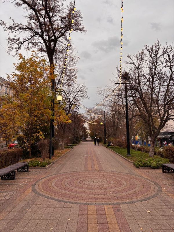 Александр Скрябин: Уважаемые ростовчане!. . Вы обращали внимание в соцсетях на неработающую декоративную подсветку на улице Пушкинской