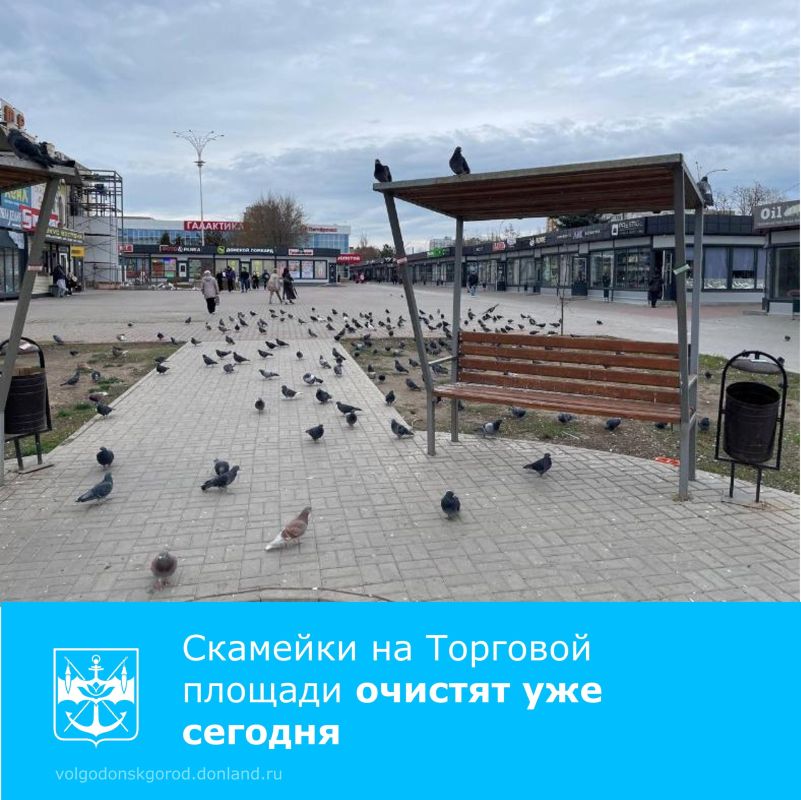 Департамент строительства и городского хозяйства оперативно отреагировал на критику в местных СМИ, касающуюся состояния малых архитектурных форм в новом сквере на Торговой площади