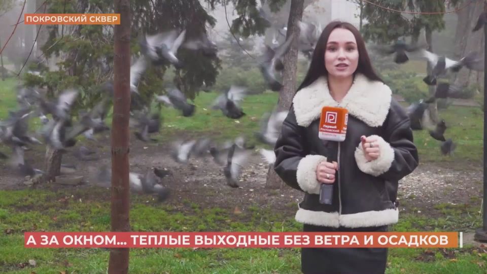 Наш метекор Дарья Лисицкая переживает за перелетных птиц