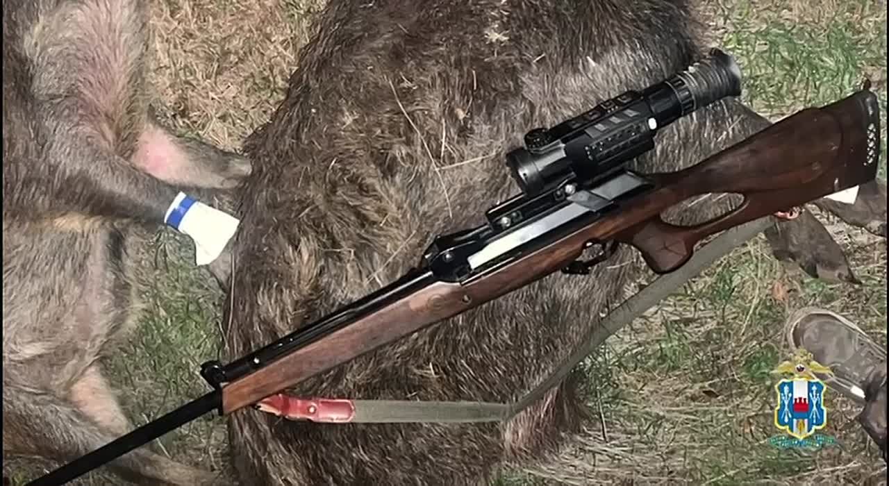 Миллионный ущерб природе: в Ростовской области задержан браконьер