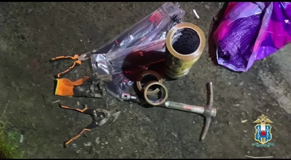 Ростовчанина задержали с почти 3 кг «синтетики» в тайнике автомобиля