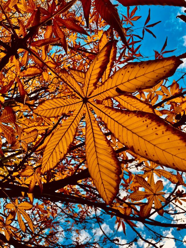 Ростов в объективе.. Сергей Скрипачев