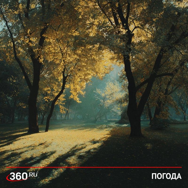 Снимаем куртки: выходные в европейской части России порадуют аномальным теплом