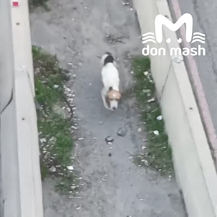 ������ �������� ����� ��������� ����������� �� ������ �-4 � ������������ ������