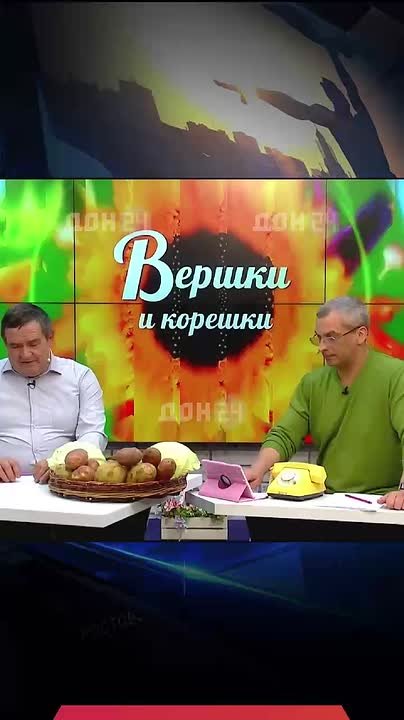 Что делать, если орехи чернеют: совет специалиста