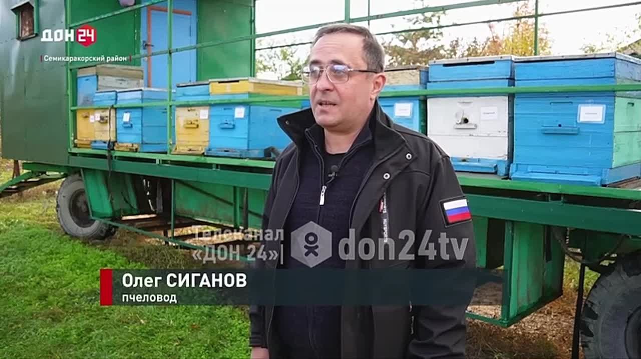 Не жизнь, а мёд: рассказываем историю опытного пчеловода