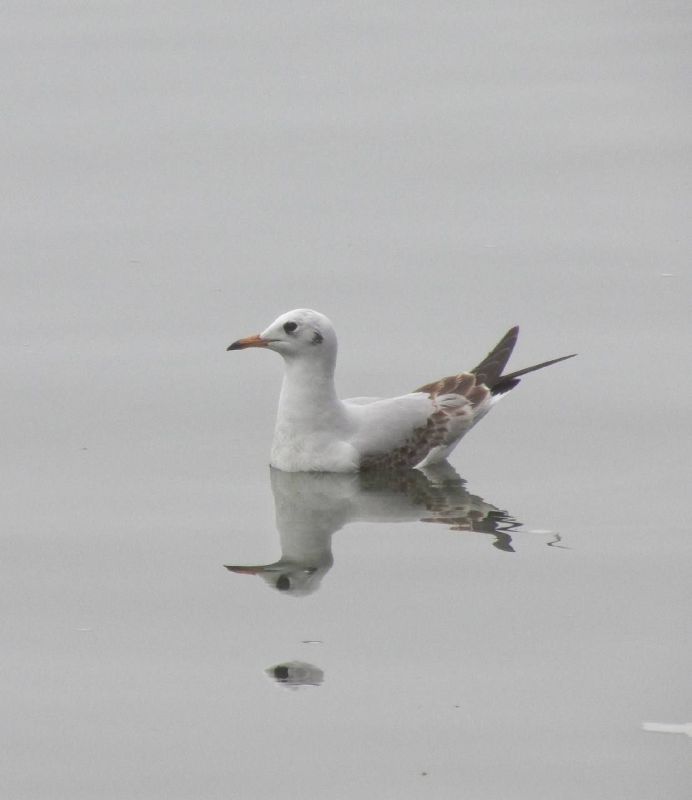 ��� ��������� ������ �������� ������ � �������� ����� ������������ ����������� ������!