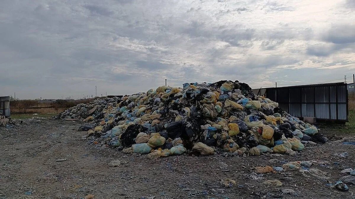 В Ростове к борьбе с незаконным вывозом мусора привлекут волонтеров