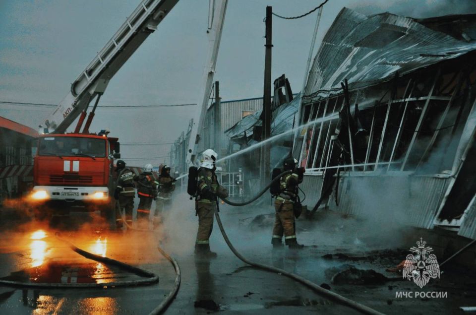 #ЧтоВчераПроизошло?. За сутки 22 ноября 2025 года пожарно-спасательные подразделения Главного управления МЧС России по Ростовской области ликвидировали: