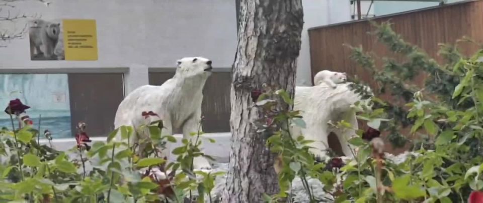 ������� � ��������� ������ ���� ��������