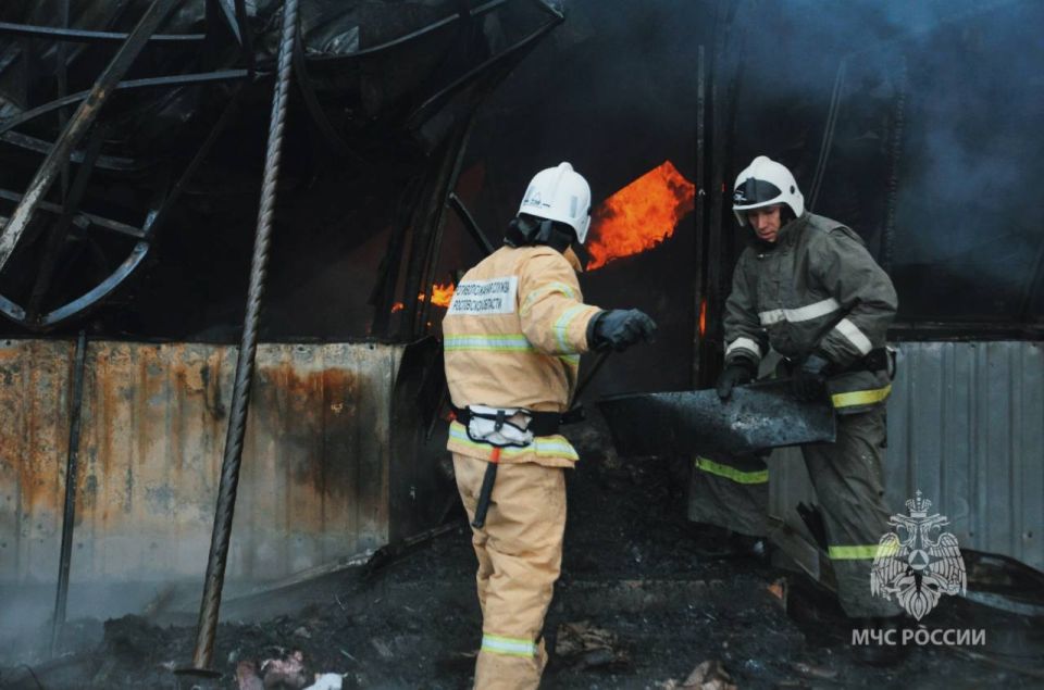 #ЧтоВчераПроизошло?. За сутки 23 ноября 2025 года пожарно-спасательные подразделения Главного управления МЧС России по Ростовской области ликвидировали: