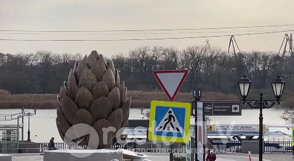 Ростов готовиться к Новому году… и собирает на набережной шишки