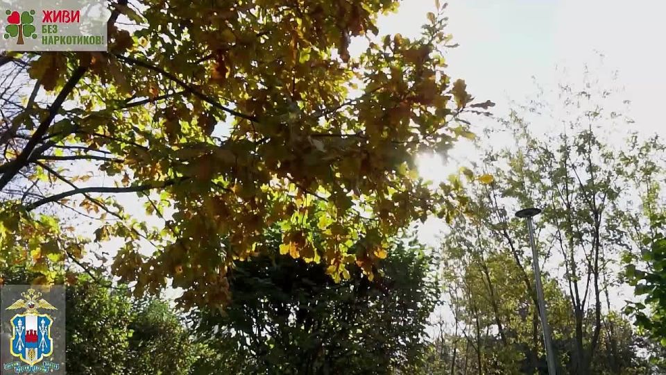 �������� � ������ ��������������� ���������� ����� �� �������� �������������� ������� ����� 8 (863) 249 34 44