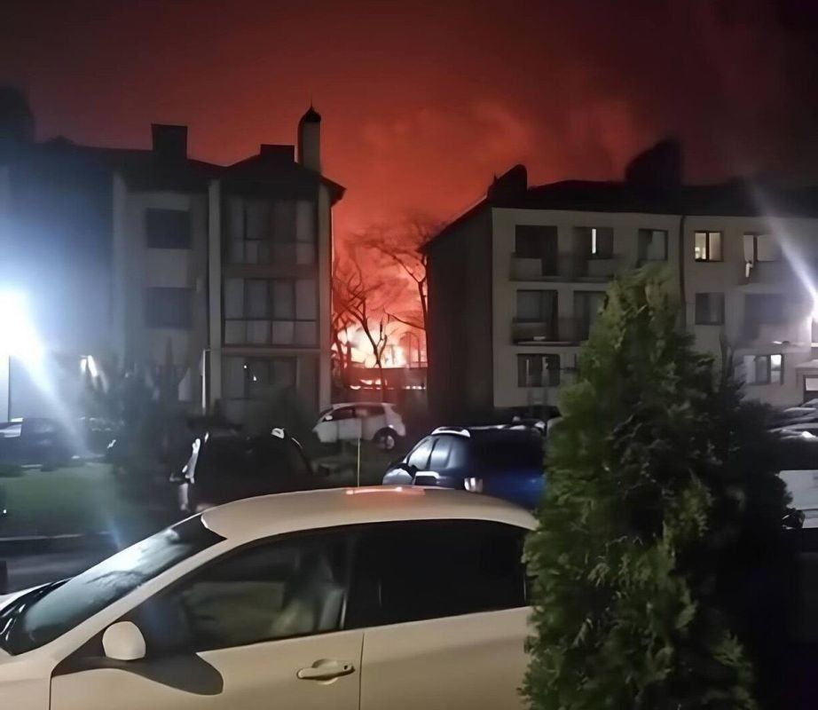 WarGonzo: ��� �������� ������� ��� ����� ��� �� ���������� �������