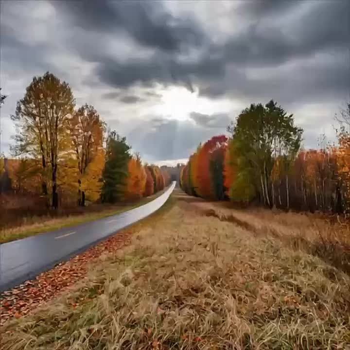 ������� � ������� ������� ����������