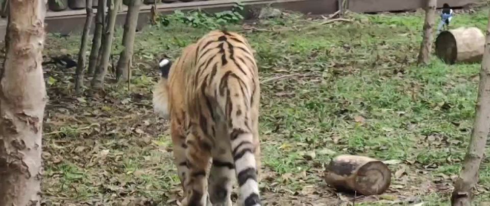 � ����������-��-���� �������� ����������� ������ � ��� ������� ������