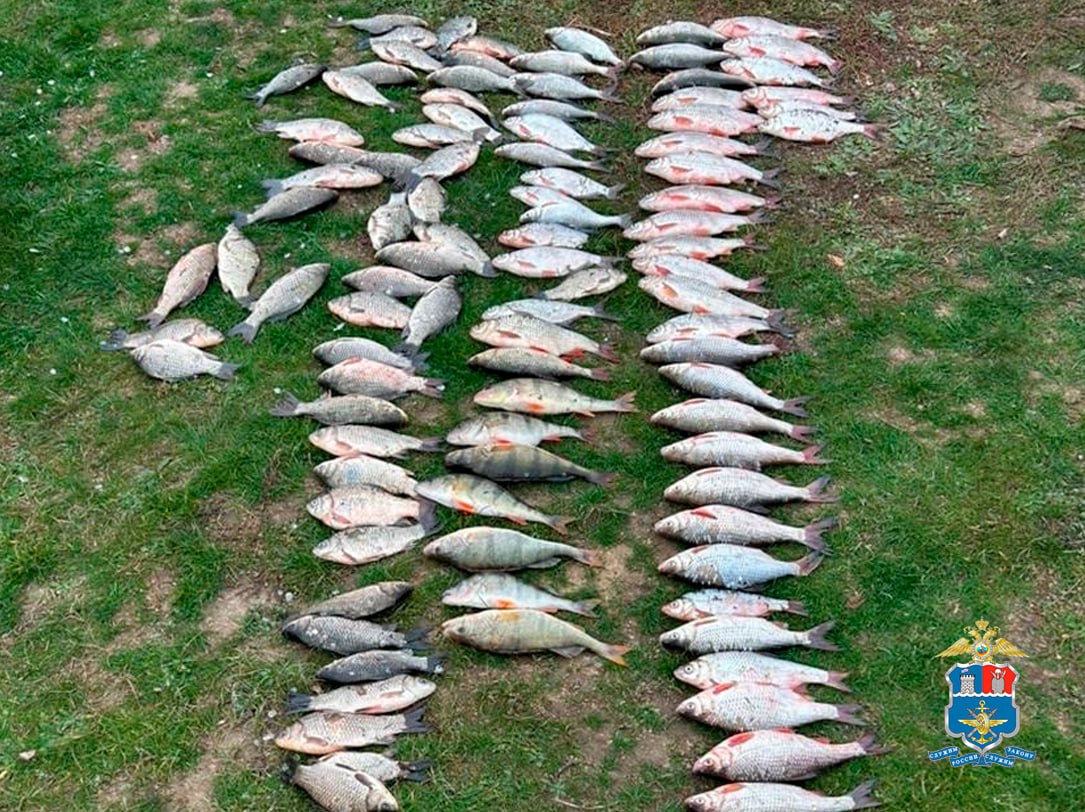 Сотрудники Сальского линейного отдела МВД России на транспорте в ходе оперативно-розыскных мероприятий задержали 64-летнего жителя поселка Целина, подозреваемого в незаконной добыче водных биологических ресурсов Сотрудники Сальского линейного отдела МВД России на транспорте в ходе оперативно-розыскных мероприятий задержали 64-летнего жителя поселка Целина, подозреваемого в незаконной добыче водных биологических ресурсов