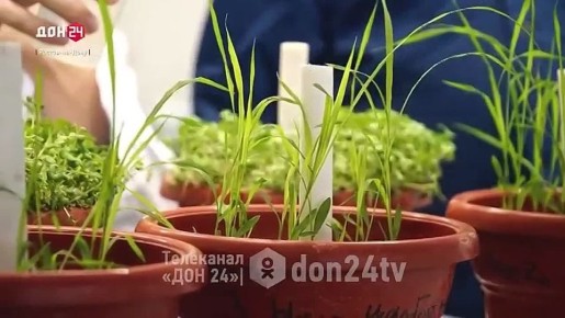 Искусственный чернозём создают в Южном федеральном университете