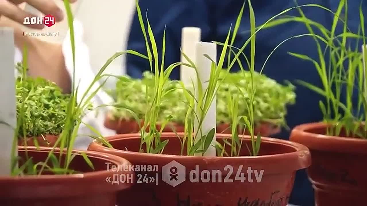 Искусственный чернозём создают в Южном федеральном университете