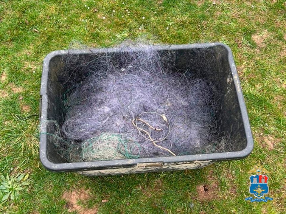 Сотрудники Сальского линейного отдела МВД России на транспорте в ходе оперативно-розыскных мероприятий задержали 64-летнего жителя поселка Целина, подозреваемого в незаконной добыче водных биологических ресурсов