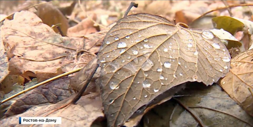 ������� ���� �� ��� ���������� ������� �������� ��������� �����, � ����� �� �������� �������� - ��������-����������� �������