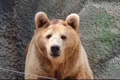 ��-�� ������ ����� � ���������� �������� ������� � ��� ������� � ������ �� 1-2 ������ ����� ��������