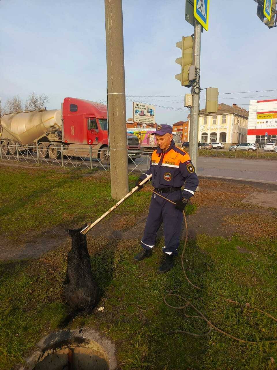 В Новошахтинске во время обычной прогулки с питомцем мужчина заметил необычное В Новошахтинске во время обычной прогулки с питомцем мужчина заметил необычное