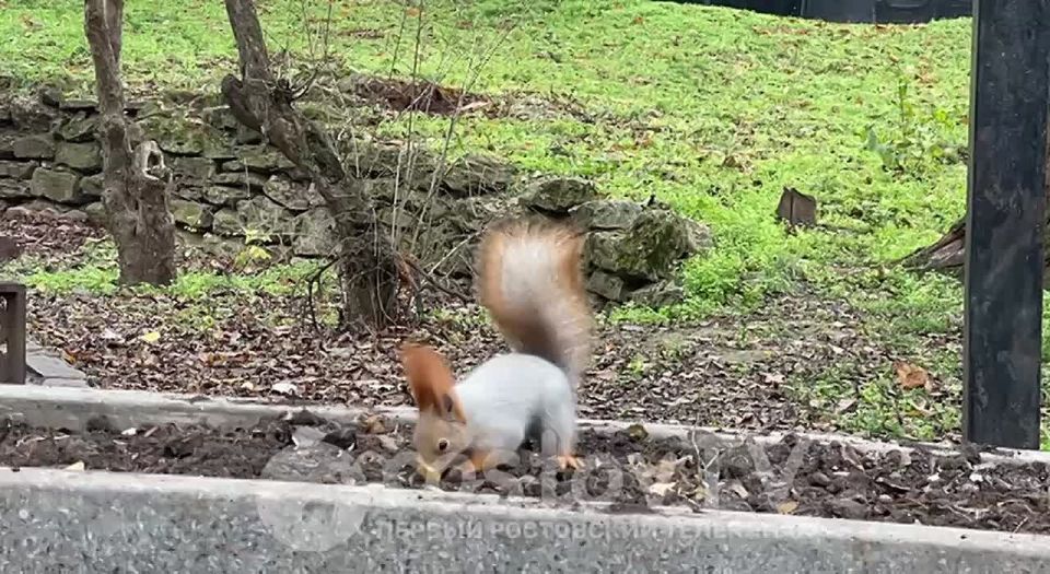 ������ ��� ��������� ������ "������� �����������" ����� ����������� � �������-���������� � ����� ��������